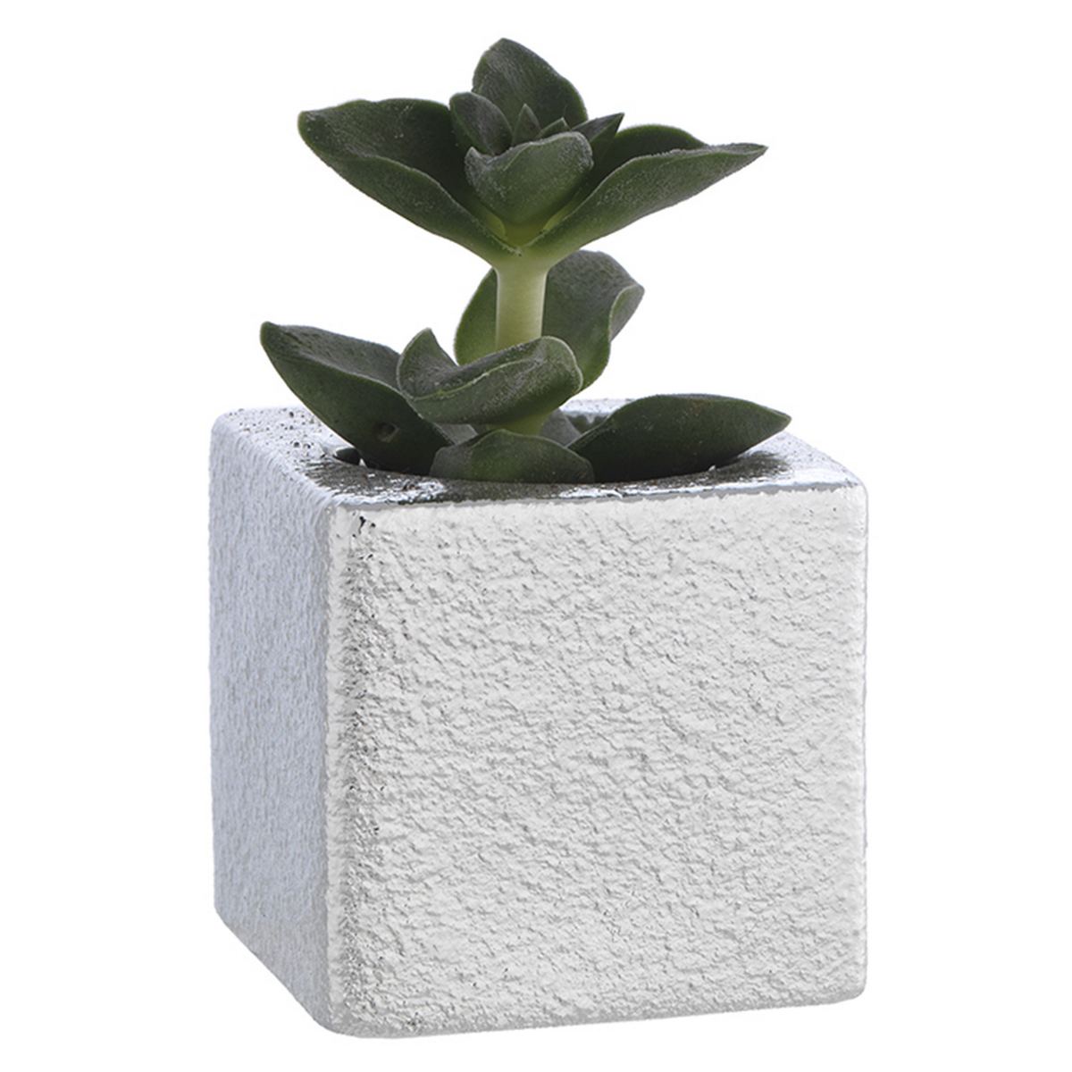 Bagutta Portavaso Cubico Argentato con Pianta Grassa