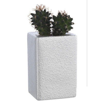 Bagutta Portavaso Cubico Argentato con Cactus