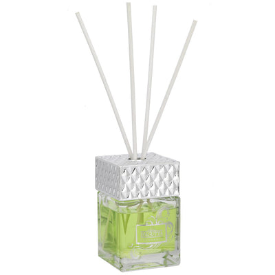 Bagutta Profumatore per Ambienti Cubo Trasparente Fragranza Agave 100 ml 8 cm