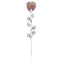 Bagutta Rosa Silver Plated Rosa con Petali Argentati 33 cm