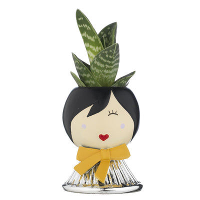 Bagutta Belle Époque Piantina Naturale Assortita Portavaso Viso con Ciuffo e Fiocco Senape 9 cm