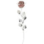 Bagutta Rosa Silver Plated Rosa con Bordo Argentato e Astuccio Regalo 39 cm