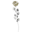 Bagutta Rosa Silver Plated Bianca con Bordo Argentato e Astuccio Regalo 39 cm