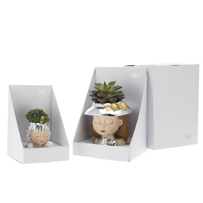 Bagutta Ville Lumière Piantina Naturale Assortita Donna con Cappello 7,5 cm