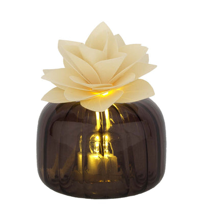 Bagutta Profumatore per Ambienti LED Vetro Fumé con Fiore Avorio 8,5x6 cm Fragranza Inclusa
