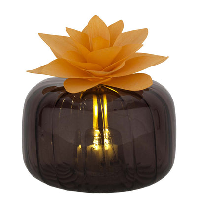Bagutta Profumatore per Ambienti LED Vetro Fumé con Fiore Arancione 11x7 cm Fragranza Inclusa