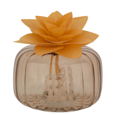 Bagutta Profumatore per Ambienti LED Vetro Trasparente con Fiore Arancione 11x7 cm Fragranza Inclusa