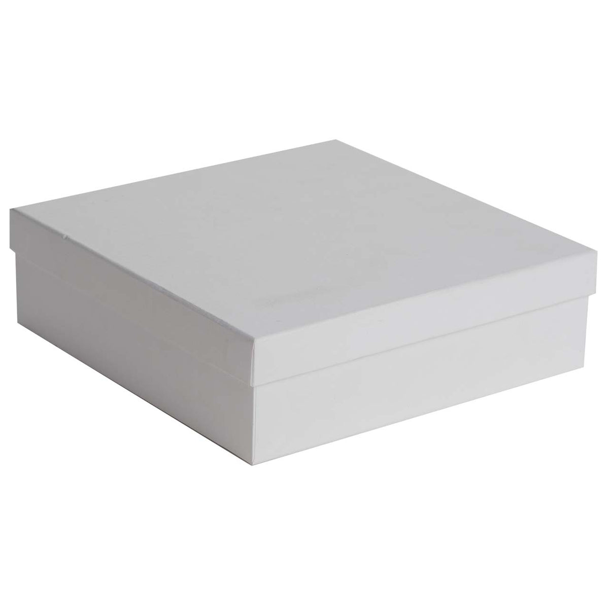 Bagutta Set Portacandela Argentato con 9 Tealight Profumate 20x20x6 cm