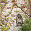 Feuerhand HURRICANE LANTERN BABY SPECIAL 276 (276-BW) Olive