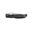 Spyderco CHARISMA FRN BLACK PLAIN C259PBK