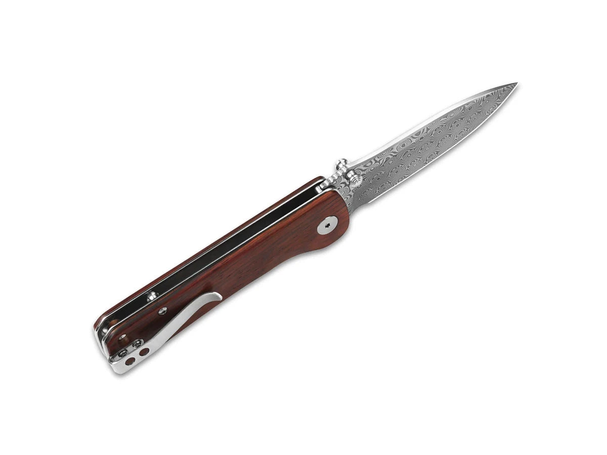 Dettaglio lama Damascus laminato QSP Hawk 8,2 cm Coccobolo