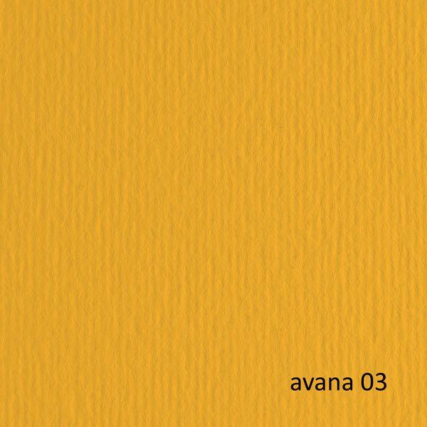 Cartoncino Elle Erre - 50 x 70 cm - 220 gr - avana 103 - Fabriano - blister 20 fogli