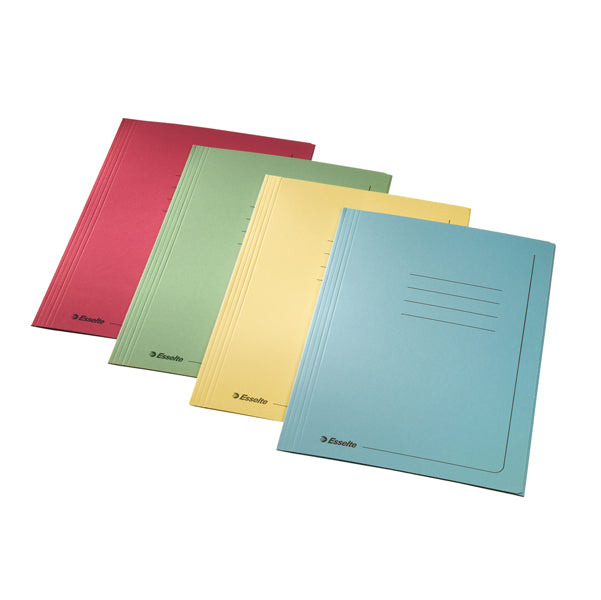 Cartellina 3 lembi con stampa - 295 gr - 25x35 cm - azzurro - Esselte - conf. 25 pezzi
