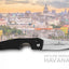Les Fines Lames TAGLIASIGARI LE PETIT SKYLINES-HAVANA ANODIZED BLACK