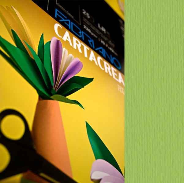 Cartoncino CartaCrea - 35 x 50 cm - 220 gr - verde pisello - Fabriano - blister 10 fogli