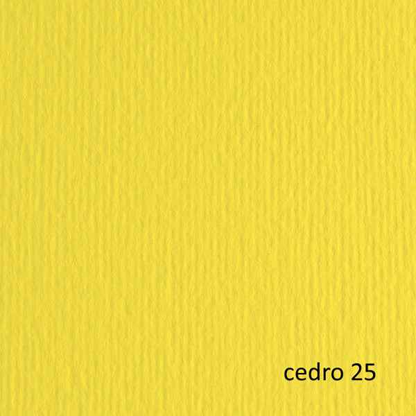 Cartoncino Elle Erre - 70 x 100 cm - 220 gr - cedro 125 - Fabriano - blister 10 fogli