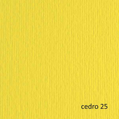 Cartoncino Elle Erre - 70 x 100 cm - 220 gr - cedro 125 - Fabriano - blister 10 fogli