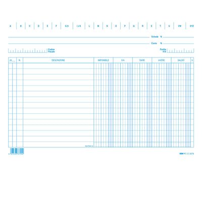 Schede dare/avere/saldo/iva - 17 x 24 cm (orizzontale) - Edipro - conf. 100 pezzi