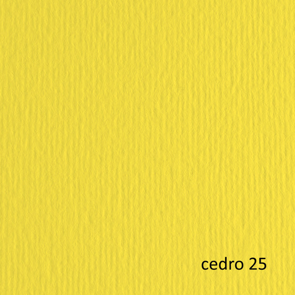 Cartoncino Elle Erre - 50 x 70 cm - 220 gr - cedro 25 - Fabriano - blister 20 fogli