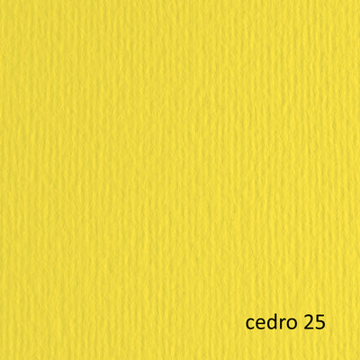Cartoncino Elle Erre - 50 x 70 cm - 220 gr - cedro 25 - Fabriano - blister 20 fogli