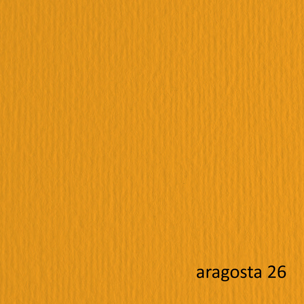 Cartoncino Elle Erre - 50 x 70 cm - 220 gr - aragosta 26 - Fabriano - blister 20 fogli