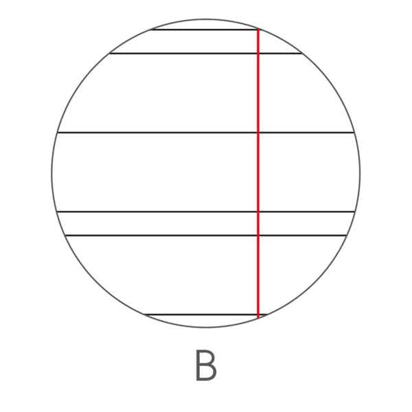 Maxiquaderno Color 80 Basic - A4 - rigo di 3a - 80 fogli - 80gr - BM