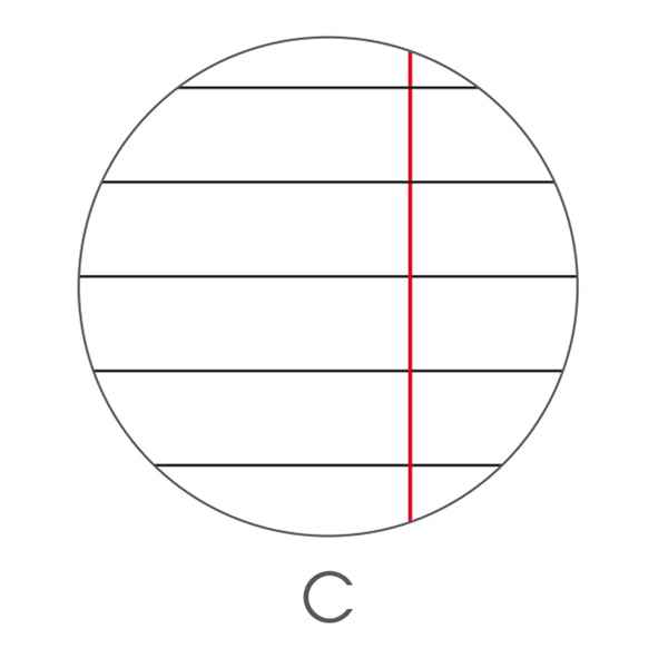 Maxiquaderno Color 80 Basic - A4 - 1 rigo c/margine - 80 fogli - 80gr - BM