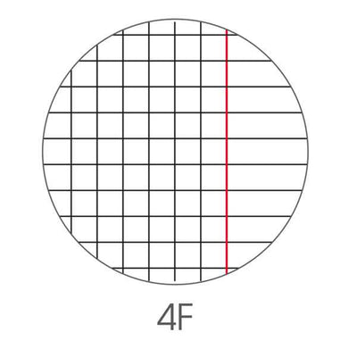 Maxiquaderno Color 80 - A4 -  4mm c/margine - 80 fogli - 80gr  BM
