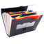 Portadocumenti a soffietto - 25 tasche - A4 - PP - nero - Lebez