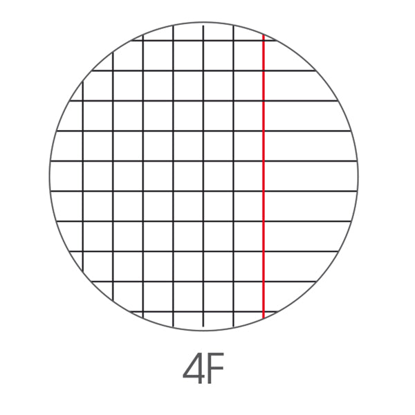 Maxiquaderno Be More Wild - A4 - 4mm c/margine - 36+2 fogli - 100gr - BM