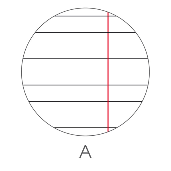 Maxiquaderno Animal fantasia - A4 - rigo di 1a -  40+2 fogli - 80gr - BM
