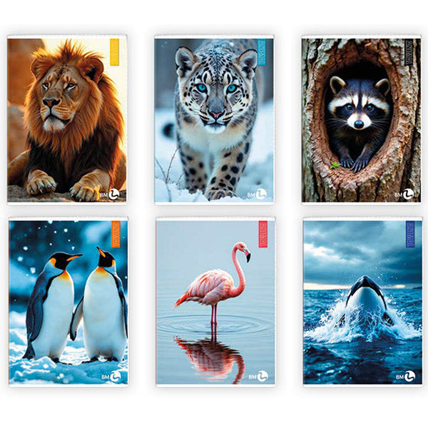 Maxiquaderno Animal fantasia - A4 -  5mm c/margine - 40+2 fogli - 80gr - BM