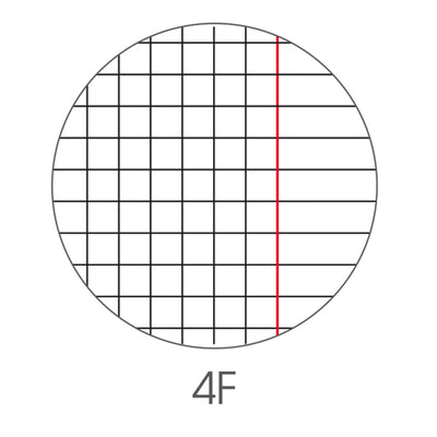 Maxiquaderno Animal fantasia - A4 - 4mm c/margine - 40+2 fogli - 80gr - BM