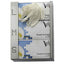 Dispenser  guanti monouso Brinox - acciaio inox - Medial