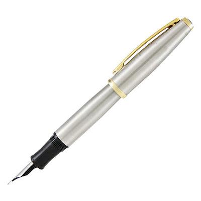 Penna stilografica Aldo Domani - punta M - fusto silver - Monteverde