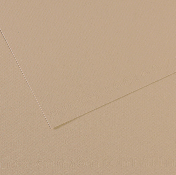 Foglio Mi-Teintes - A4 - 160 gr - grigio trianon - Canson