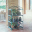 Serra Azalea - 3 ripiani - 70 x 50 x 125 cm - acciaio verniciato/PVC - verde/trasparente - Verdemax