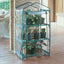 Serra Azalea - 3 ripiani - 70 x 50 x 125 cm - acciaio verniciato/PVC - verde/trasparente - Verdemax