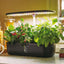 Orto idroponico indoor - 20 x 18 x 40 cm - Verdemax