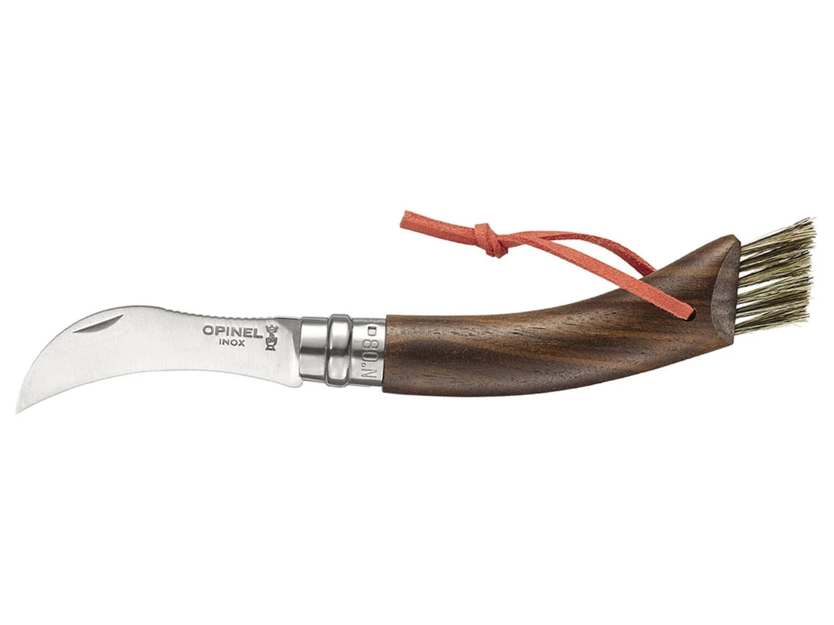 Opinel COGLIFUNGHI N°08 INOX NOCE NERA (003250)