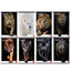 Maxiquaderno Animal - A4 - 4 mm c/margine - 42 fogli - 80 gr - Pigna