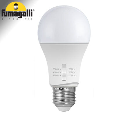 Lampadina LED E27 A60 - 8