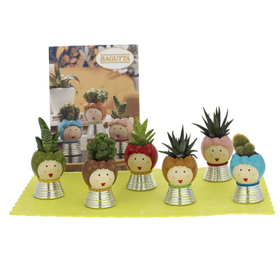 Bagutta Mama Display Piantine Naturali Assortite con Portavaso Viso 6 pezzi