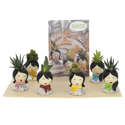 Bagutta Belle Époque Display Piantine Naturali Assortite Portavaso Viso 6 pezzi