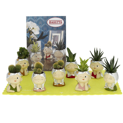 Bagutta Display Piantine Naturali Assortite Portavaso Viso 8 pezzi