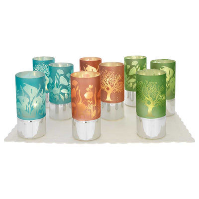 Bagutta Lampade LED in Vetro Fiori e Alberi 7x15 cm 9 pezzi con Espositore e Panno