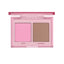 Astra Private Dream Face Palette Radical 7 gr - 00011450001