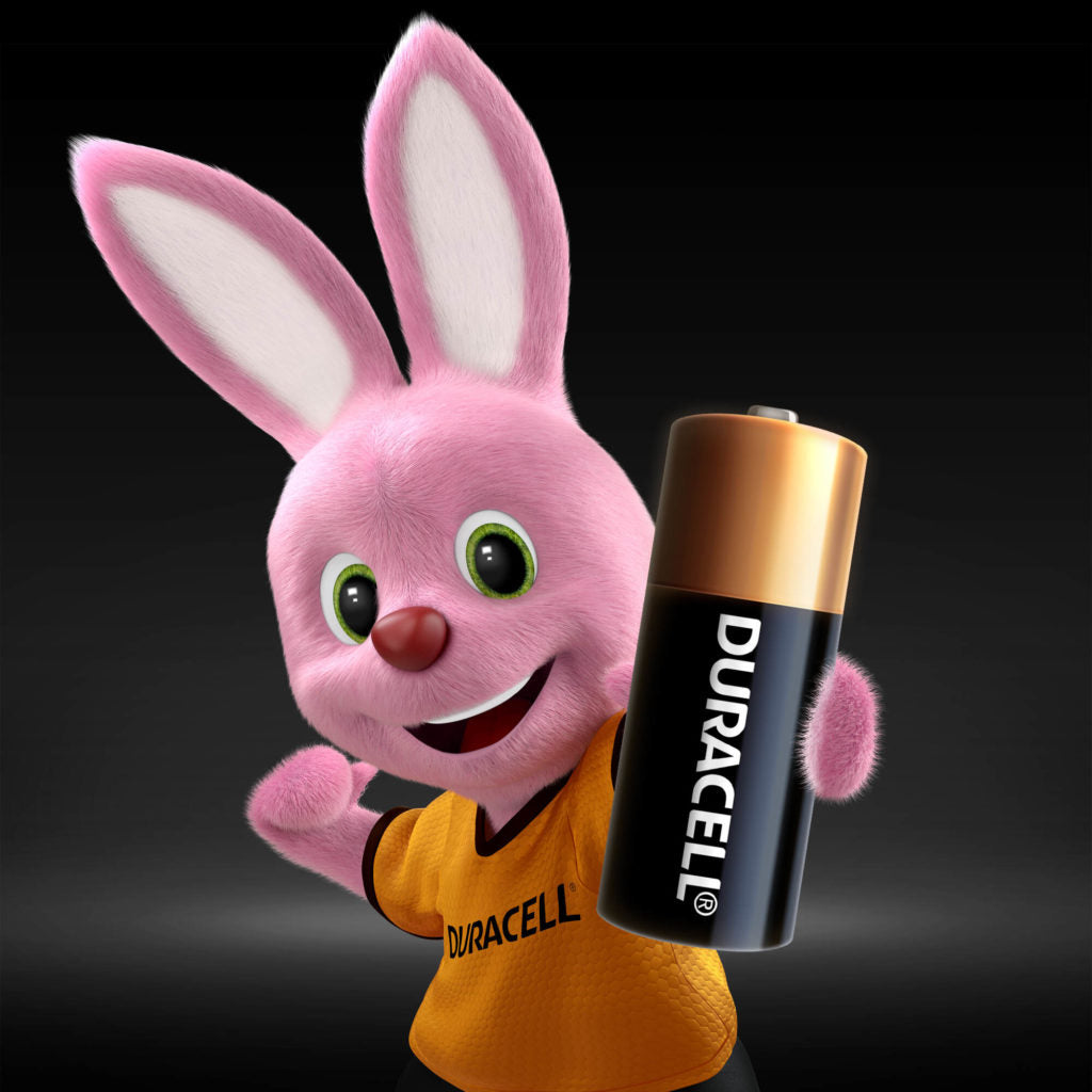 DURACELL N9100 blister da 2 - 1,5 VOLT
