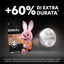 DURACELL 2016 blister da 2 - 3 VOLT (10PZ)