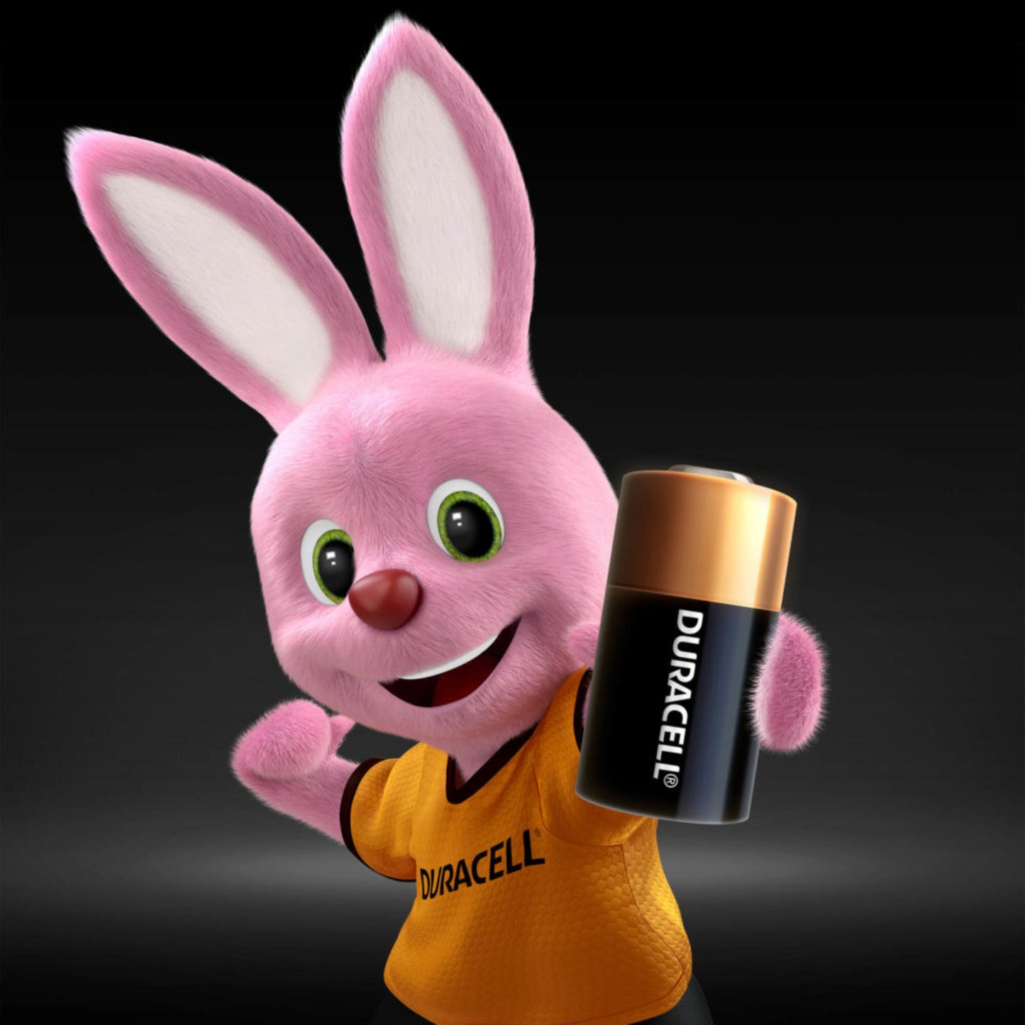 BATTERIA SPECIALISTICA DURACELL LITIO AD ALTA POTENZA 6V - 28L
